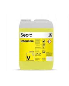SEPTA INTENSIV V1 środek do gruntownego czyszczenia powierzchni 5L