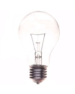 Żarówka 60W/E27 24V