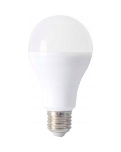 Żarówka LED E27 230/15W 6000k