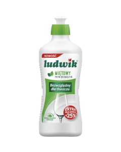 Ludwik 900ml Miętowy